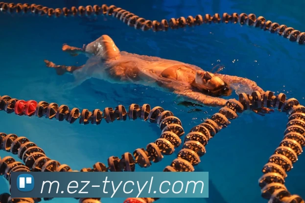 太阳城网站服务体系